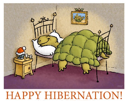 Hibernation humour