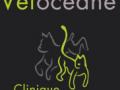 Vetocean clinique veterinaire